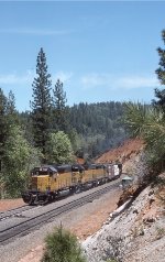 UP 3197 East on SP Donner Pass